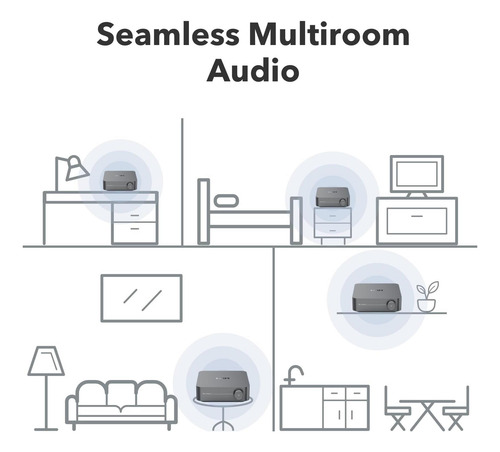 Wiim Amp Pro: Amplificador De Transmisión Multiroméstico | |