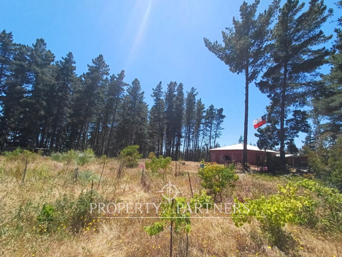 Algarrobo, Bosque De Algarrobo Parcela 100% Plana