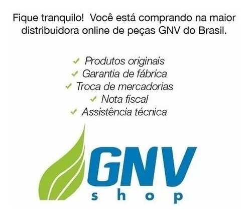 Kit Gnv 5g Gnv Shop Original Com Cilindro 60 Litros/15metros