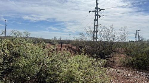 Venta Campo, Terreno, Senillosa, Confluencia, Neuquén, Añelo, Vaca Muerta, Ruta 22, Parque Industrial, Patagonia