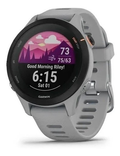 Reloj Garmin Forerunner 255s Powder Gray