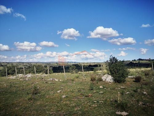 Campo Ganadero En Venta En Maldonado, A 60 Km De Punta Del Este- Ref: 26296