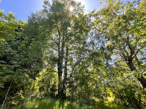 Parcela En Caburgua En Cerro La Barda