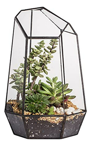 Terrario Geométrico De Cristal Para Plantas - Negro