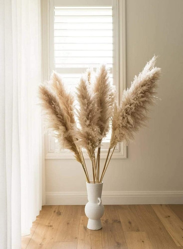 Pack X 60 Plumerillos Pampa Grass Selloana Beige 1,30 Metros Beige