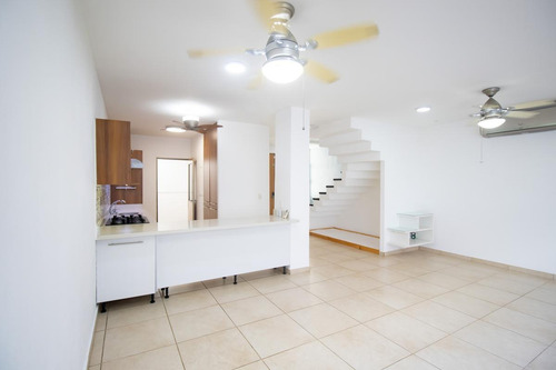 Imagen 4 de 30 de Casa En Venta En Fraccionamiento Las Ceibas