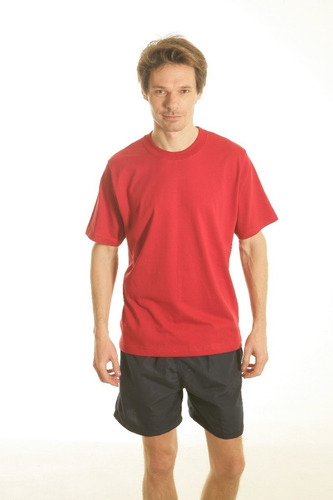 Imagen 2 de 9 de Remera Jersey Lisa 100% Algodón Talle Grandes 8 Al 10