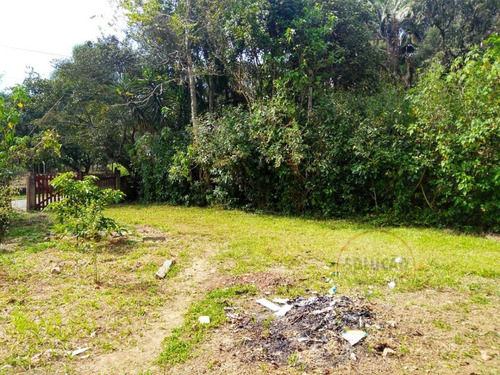 Sítio A Venda No Bairro Quarta Divisão Em Ribeirão Pires - 556-1