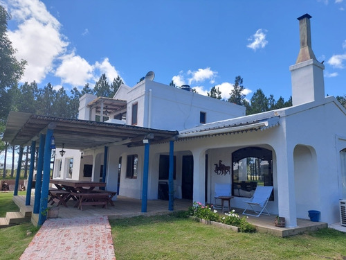 Imagen 2 de 8 de Alquiler De Casa En Chacra En Pueblo Edén