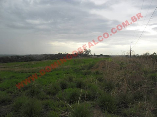 Imagem 12 de 14 de Venda - Área - Zona Rural - Nova Odessa - Sp - D7830