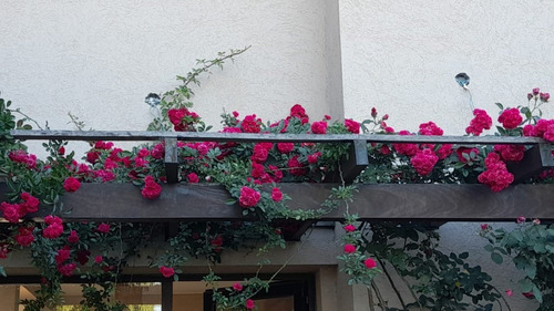 Imagen 5 de 6 de Casa En Venta A La Laguna Barrio Los Talas.