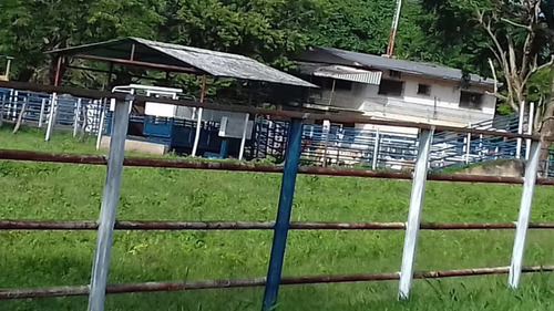 Imagen 2 de 14 de Grandiosa Finca En Via Al Baul 1200 Hectareas
