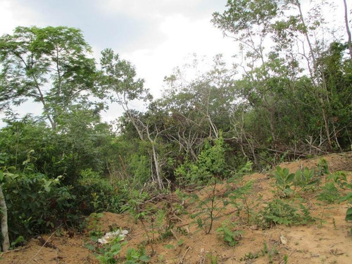 Imagem 8 de 15 de Terreno Para Venda Em Esmeraldas, Floresta Encantada - T23_1-1019445