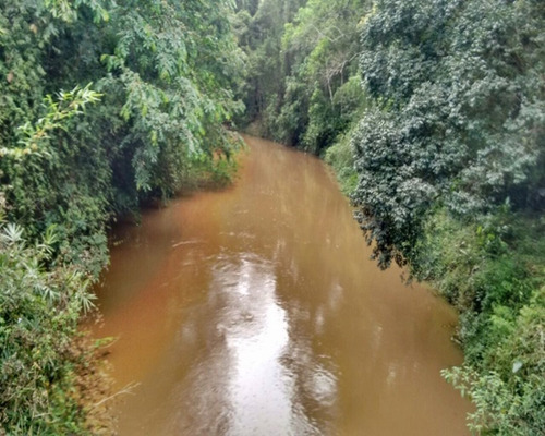 Imagem 8 de 26 de Chácara À Venda Em Juquitiba. - 315 - 32982813