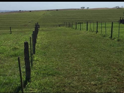 Fazenda À Venda Em Echaporã/sp - Fa00122 - 69026868