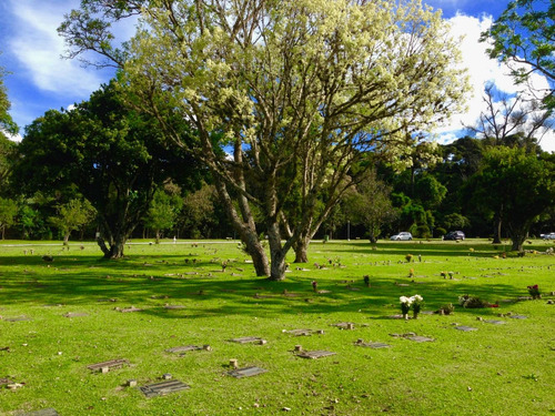 Imagem 10 de 14 de Jazigo - Cemitério Parque Iguaçú