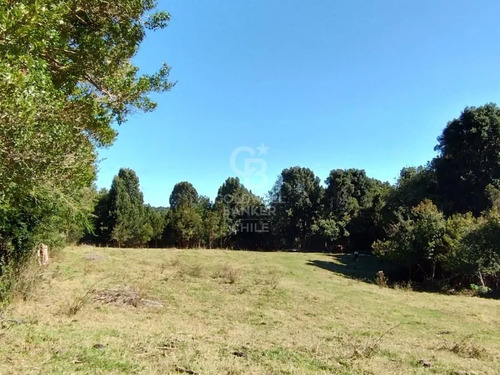 Campo Orilla De Rio Blanco Con Cabaña