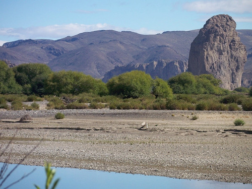 Venta Campo Sobre Río Chubut De 800 Has