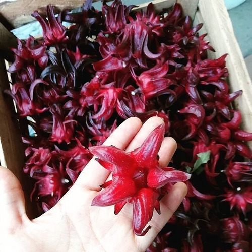 Flor De Jamaica Organica 500 Gramos - Unidad a $70