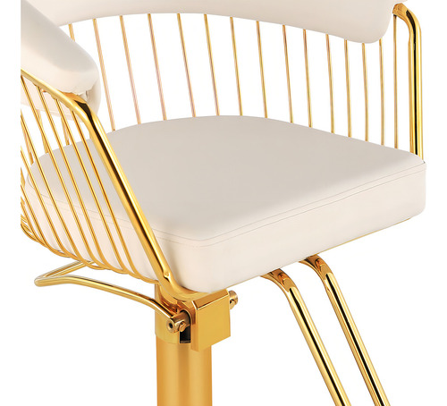 Silla Gold Circular Estetica Nanofort Spa Ajustable Giro 360° Color Blanco Forma de la base Redonda Tipo de respaldo Fijo