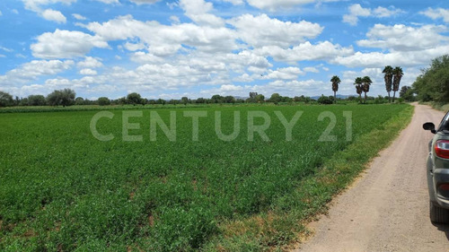 Terreno Rustico En Venta En Rincon De Romos