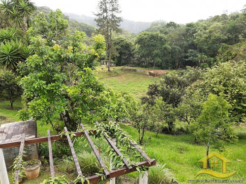 Imagem 6 de 30 de Chácara - Rural No Bairro Raposo Tavares, 0 Metros Da Praia, Itariri-sp - 3475