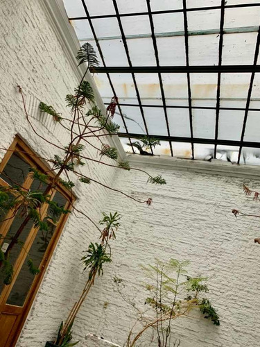 Venta Casa Cordon- Orden Venta!!!