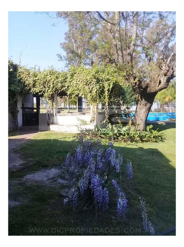 Imagen 21 de 29 de Casa 6 Ambientes En Campo De 3 Hectareas Piscina Quincho En Victoria Prov. De Entre Rios