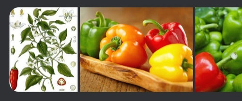 Imagen 1 de 10 de Semillas Organicas Kit De 9 Variedades Verduras Hortalizas 