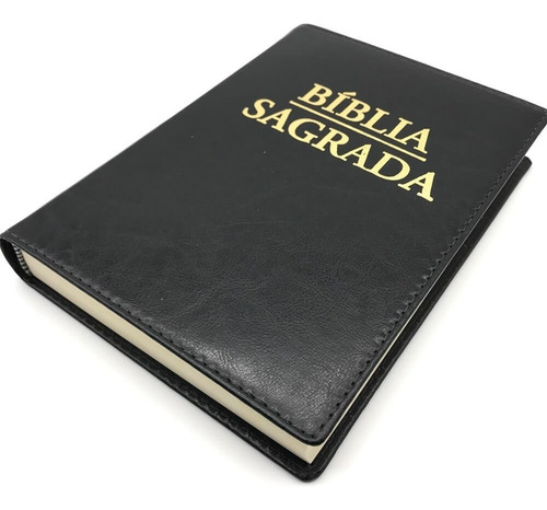 Bíblia Sagrada Nova Tradução Linguagem De Hoje Letra Grande