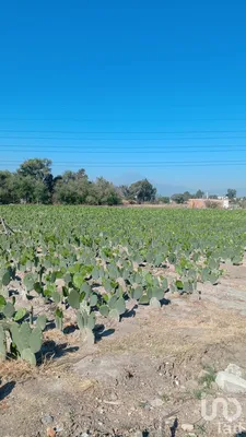 Terreno en venta