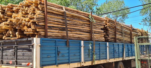 Imagen 8 de 8 de Poste Palo Euca Largo 5 Mts Ø 6-9 Eucalipto Tirantes Pérgola