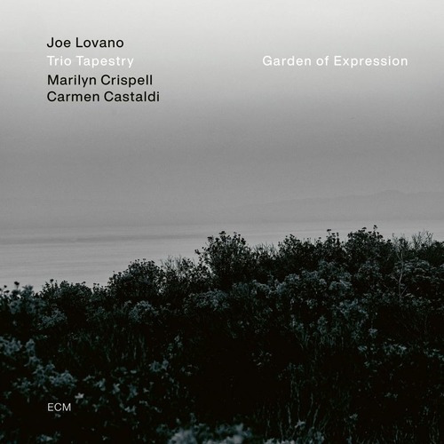 Joe Lovano Marilyn Crispell Carme (vinilo)