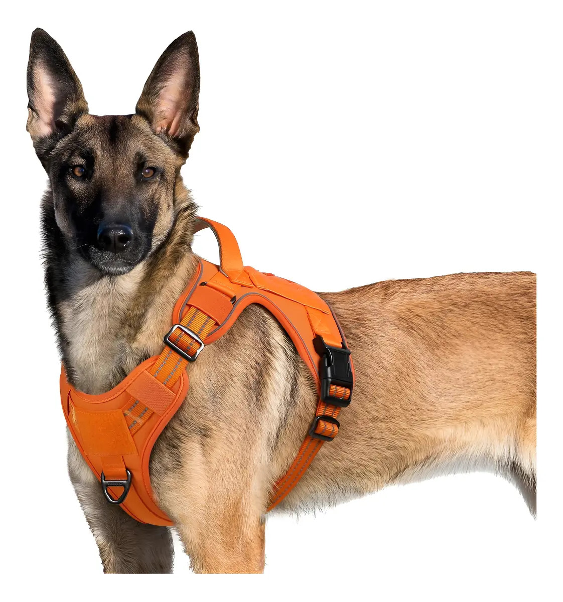 Arnés Táctico Rabbitgoo para Perros XL con Sistema MOLLE, Naranja