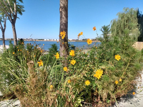 Imagen 12 de 13 de Venta O Permuta Casa En Acacias Puertos Del Lago Escobar