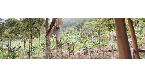 Imagem 6 de 30 de Chácara Com 2 Dorms, Area Rural, Itariri - R$ 239 Mil, Cod: 518 - V518