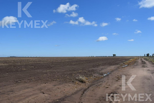 Campo Mixto En La Cesira -  Ruta 3