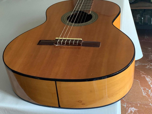 Guitarra T110 Antigua Casa Núñez C/ Funda,soportes, Afinador