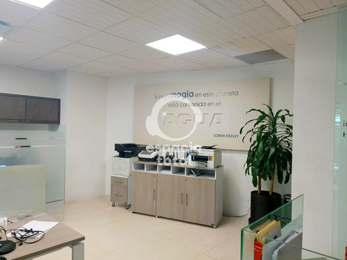 Oficina En Insurgentes Sur, Crédito Constructor