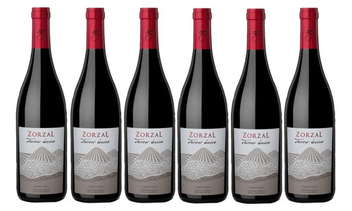 Zorzal Terroir Unico Cabernet Franc X6 - J.p.michelini