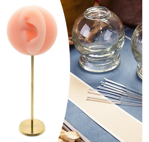 Modelo De Oreja, Soporte De Rosa Izquierda Rosa Izquierda