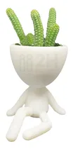 Comprar Macetas Robert Plant - 5 Modelos + Envío Cactus Suculenta 