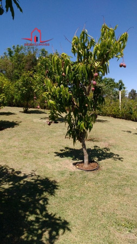 Imagem 26 de 30 de Chácara A Venda No Bairro Condomínio Outeiro Das Flores 2 - 3433-1