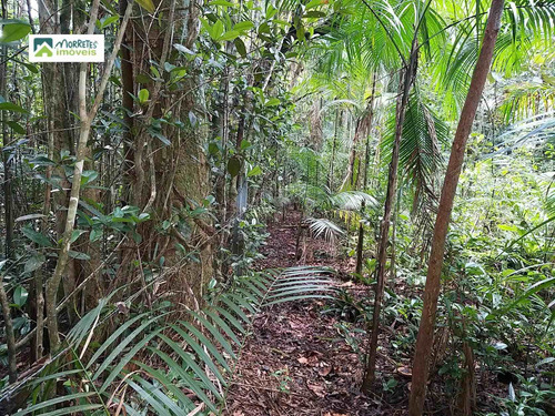 Imagem 15 de 24 de Chácara À Venda No Bairro América De Cima - Morretes/pr - 269