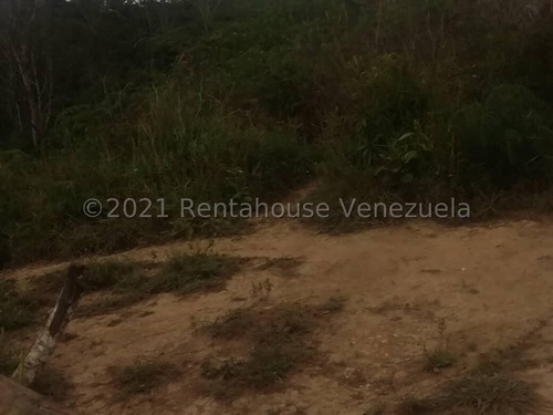 Imagen 9 de 14 de Ss: Vende Lote De Terreno 22-5448 En Las Minas San Antonio