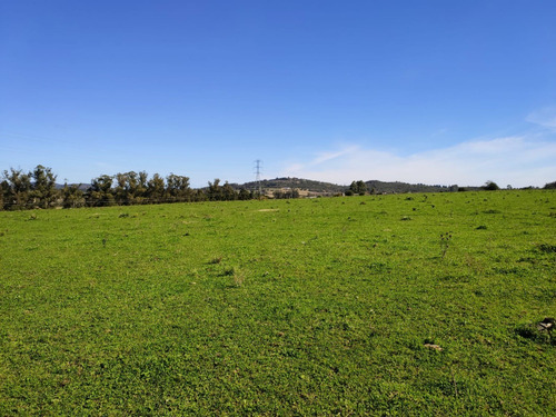 Campo De 10 Hec En Los Ceibos