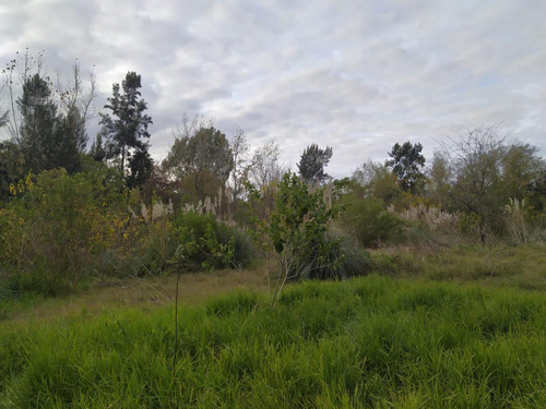 Terreno - Villa La Ñata