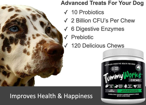 Tummyworks Probiotic Chews For Dogs. Relieves Diarrhea, Upse