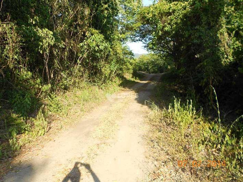 Imagem 1 de 24 de Terreno À Venda, 3858 M² Por R$ 950.000,00 - Itaipu - Niterói/rj - Te4210