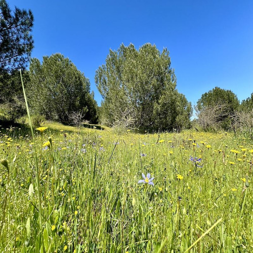 Parcelas En Vichuquén Al Lado De Laguna Torca Y Playa Llico